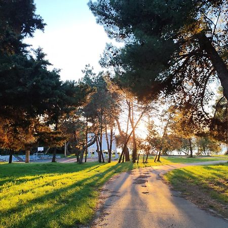 Sunflower Camping Savudrija Exterior photo